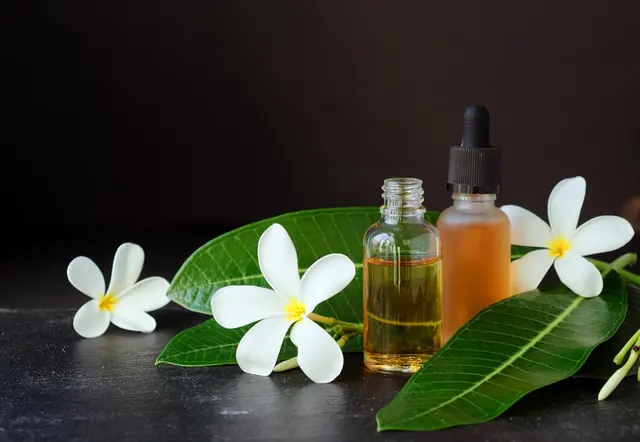 Plumeria Thai Massage & Reflexology — customer photo 8