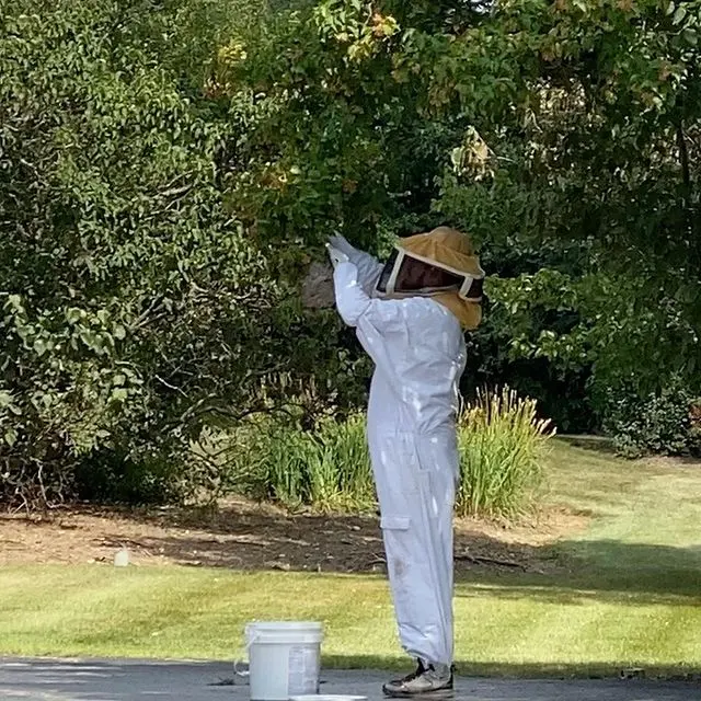 Lake Cook Pest Control — photo from the business 3