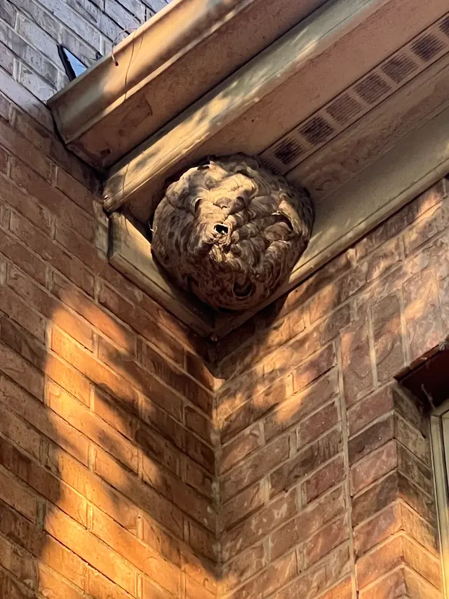 Lake Cook Pest Control — customer photo 6