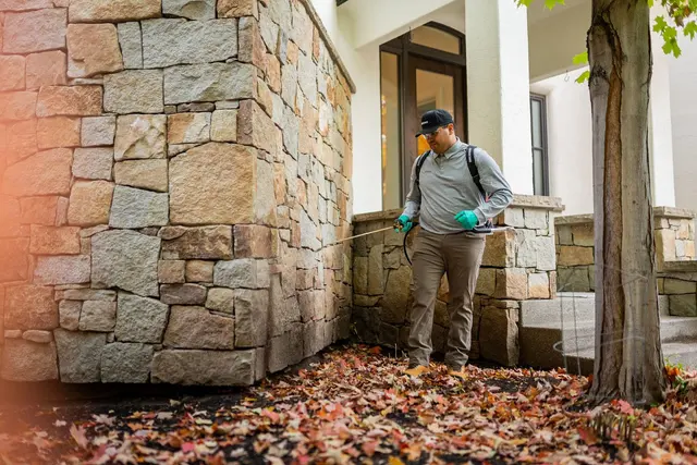 Greenix Pest Control — photo from the business 8