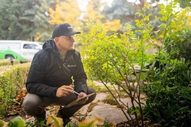 Greenix Pest Control — photo from the business 3