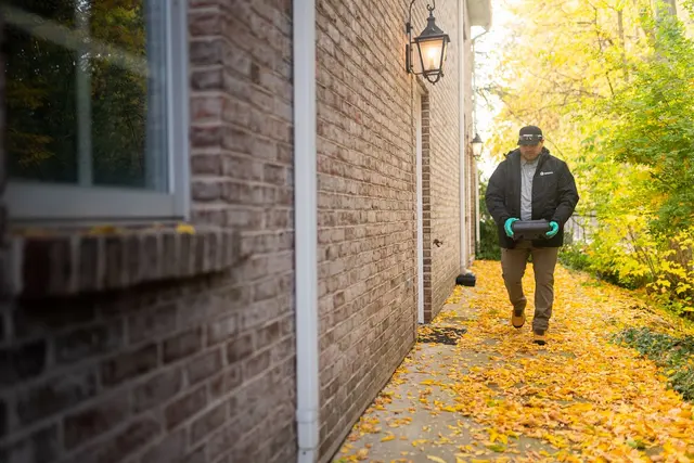 Greenix Pest Control — photo from the business 6