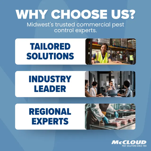 McCloud Services — photo from the business 3