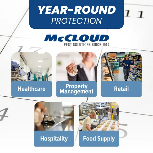McCloud Services — photo from the business 1