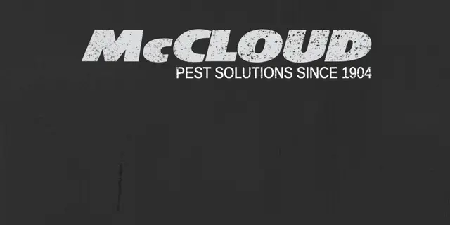 McCloud Services — photo from the business 5