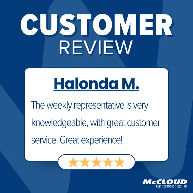 McCloud Services — photo from the business 2