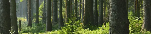 Illinois Wildlife Services — photo from the business 1