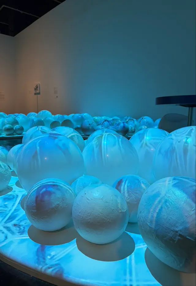 Customer photo of work by Frist Art Museum, from osservatorecortese's review