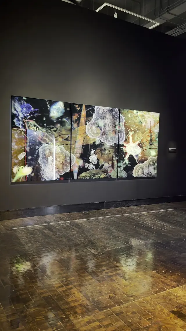 Customer photo of work by Frist Art Museum, from osservatorecortese's review