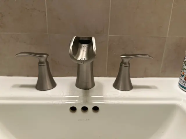 Customer photo from Ozier's review