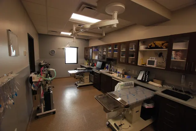 TLC Animal Hospital — photo from the business 11