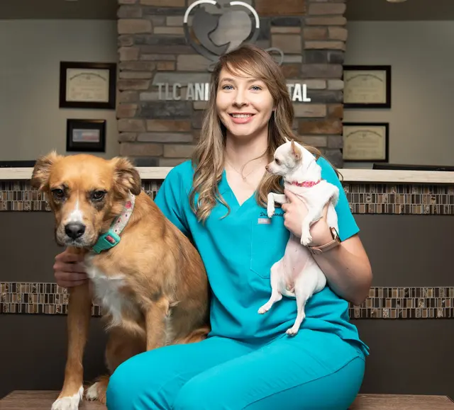 TLC Animal Hospital — photo from the business 7