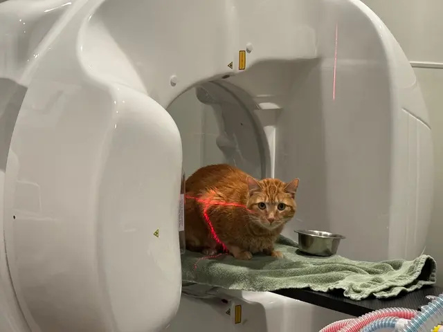 TLC Animal Hospital — photo from the business 9