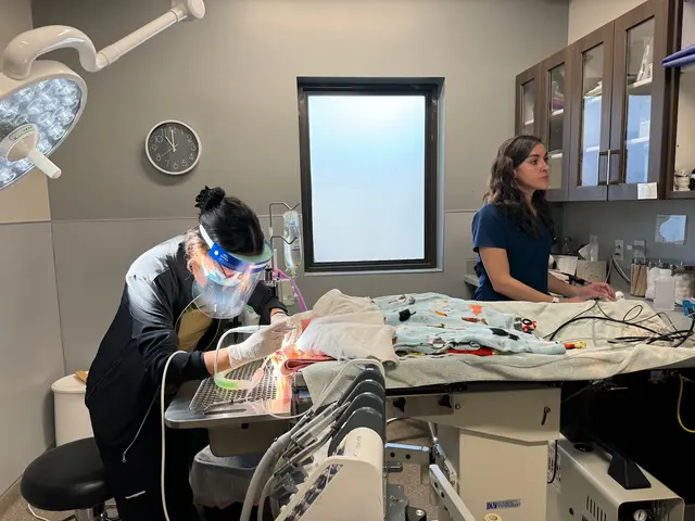 TLC Animal Hospital — photo from the business 10