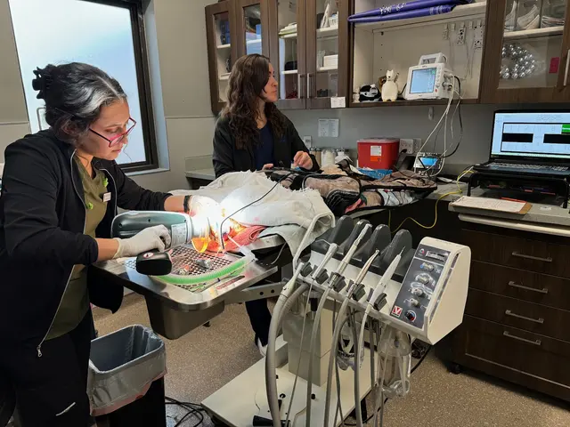 TLC Animal Hospital — photo from the business 4