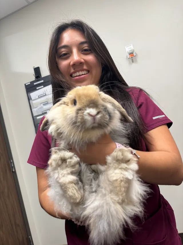 TLC Animal Hospital — photo from the business 8