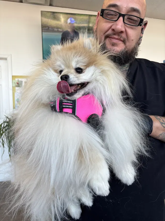 West Texas Cimarron Canyon Veterinary Clinic — customer photo 12