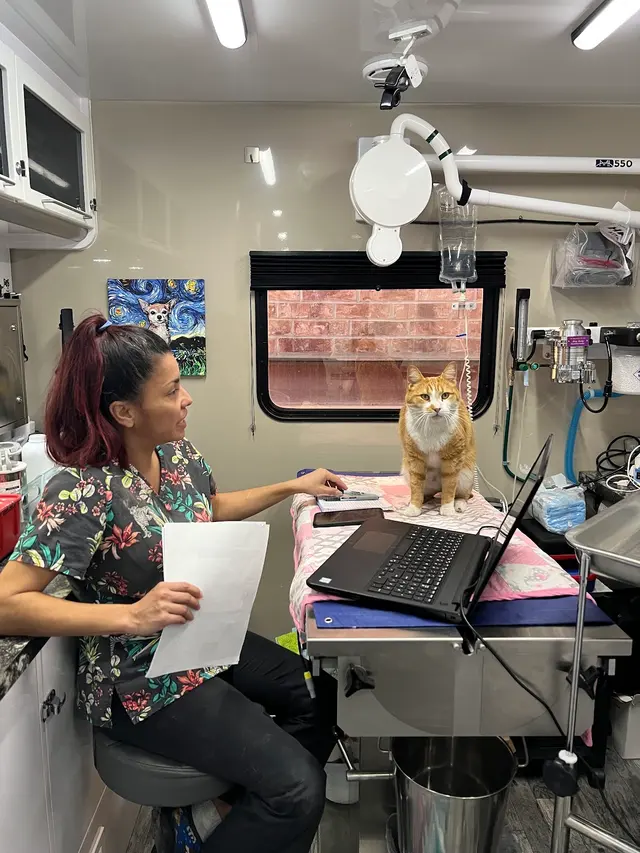 Cimarron Canyon Mobile Veterinary Clinic — customer photo 3