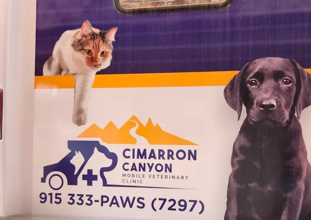 Cimarron Canyon Mobile Veterinary Clinic — customer photo 7