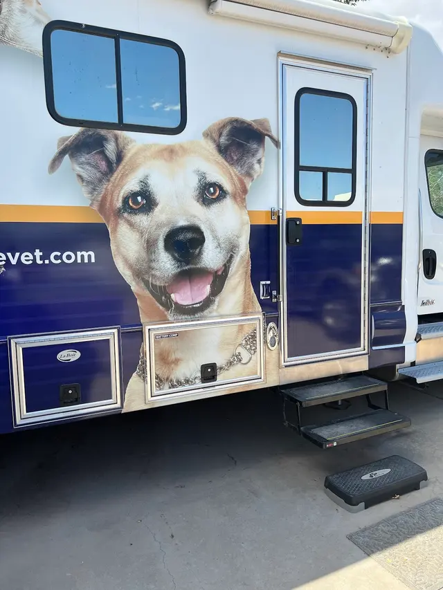 Cimarron Canyon Mobile Veterinary Clinic — customer photo 8