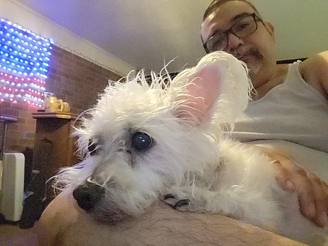Customer photo of work by Cimarron Canyon Mobile Veterinary Clinic, from Ruben Espinoza's review