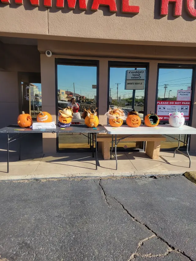 Desert East Animal Hospital — photo from the business 6