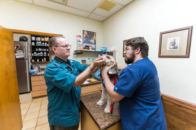 Desert East Animal Hospital — photo from the business 4
