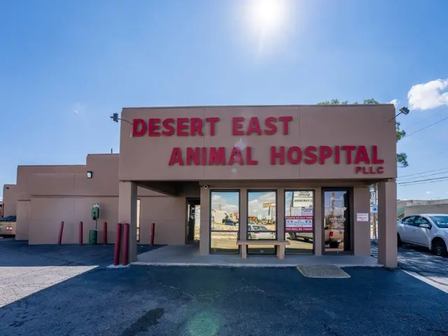 Desert East Animal Hospital — photo from the business 9