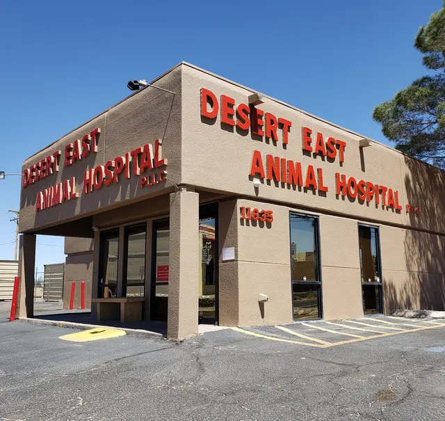 Desert East Animal Hospital — photo from the business 1
