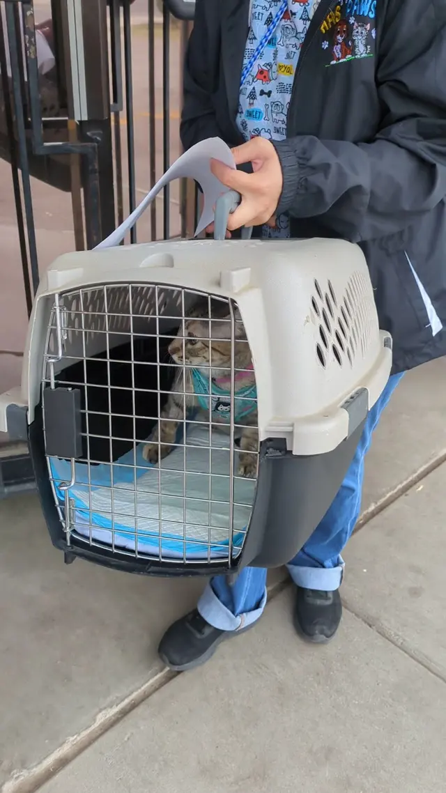 Dr. C Anthony Animal Hospital — customer photo 2