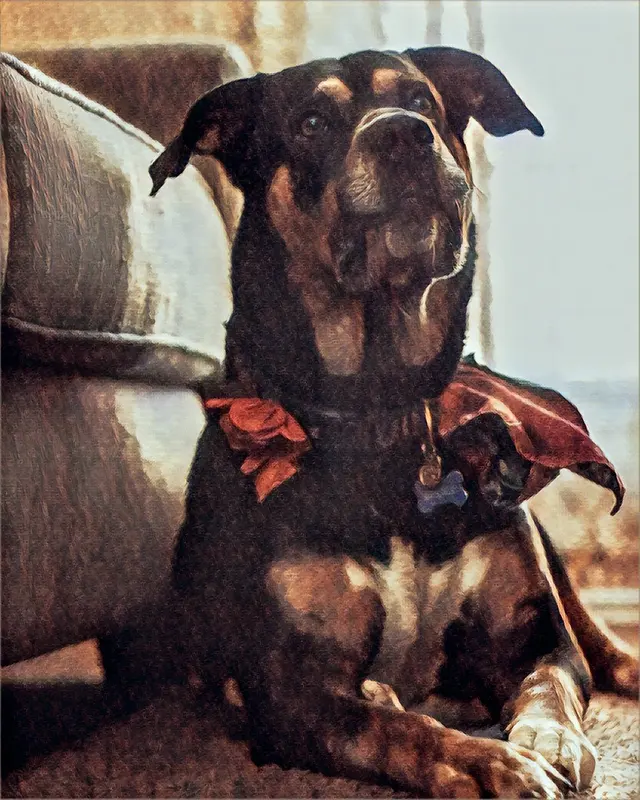 Dr. C Anthony Animal Hospital — customer photo 9