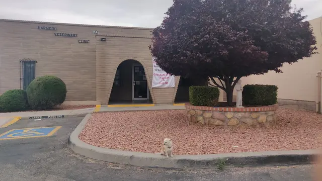 Edgar Park Veterinary Clinic — customer photo 11
