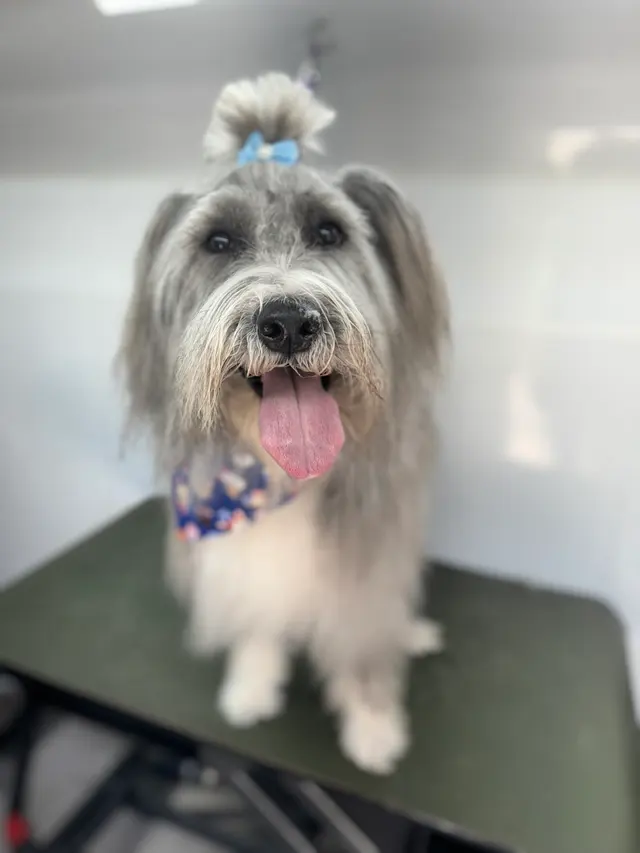 Edgar Park Veterinary Clinic — customer photo 6