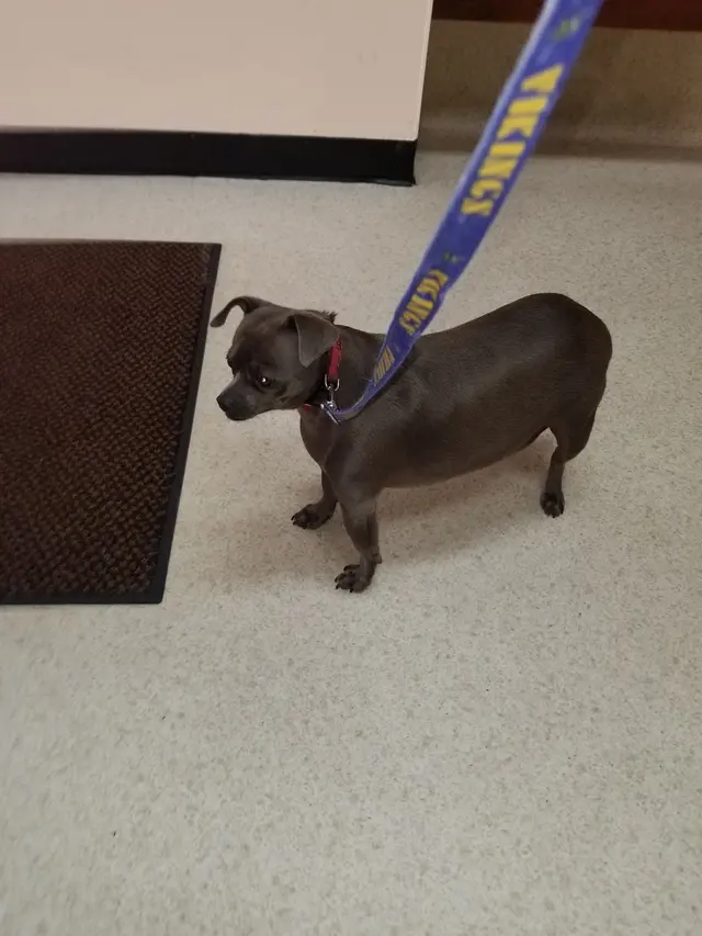 Edgar Park Veterinary Clinic — customer photo 10