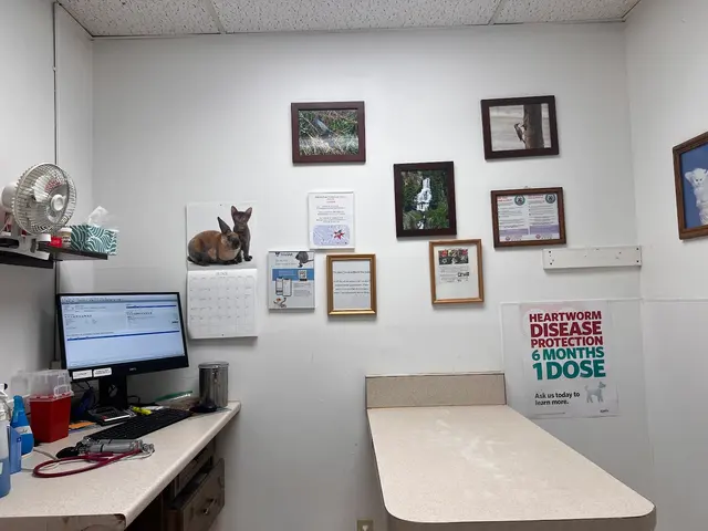 Edgar Park Veterinary Clinic — customer photo 4