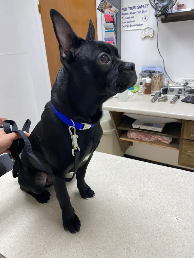 Edgar Park Veterinary Clinic — customer photo 7