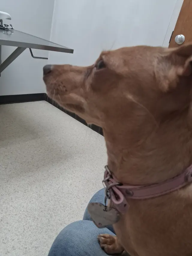 Edgar Park Veterinary Clinic — customer photo 1