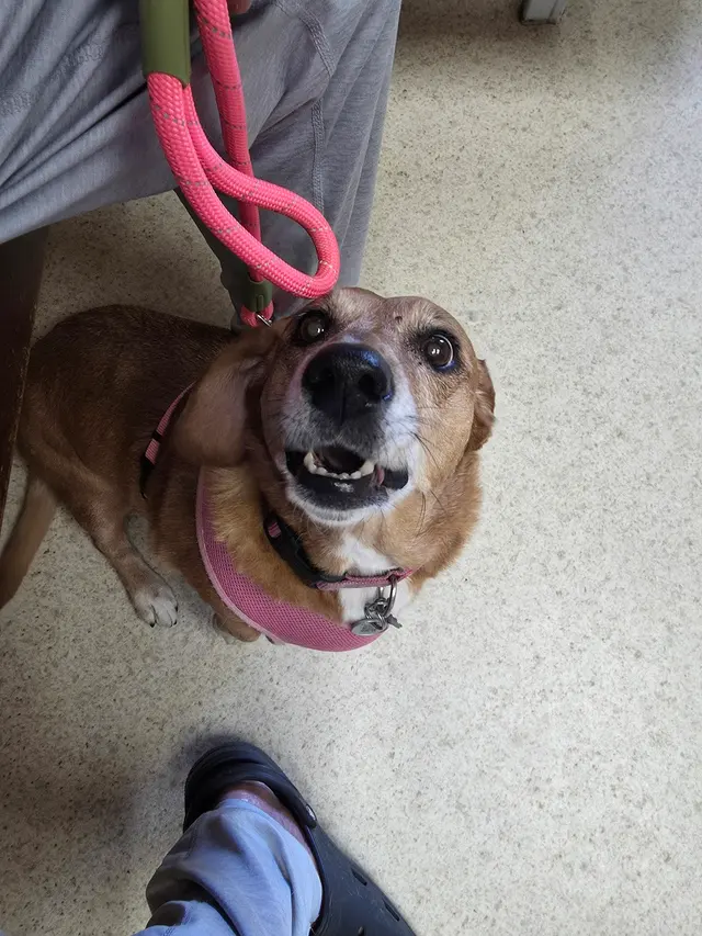 Edgar Park Veterinary Clinic — customer photo 8
