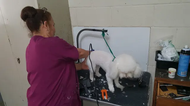 Vista Hills Animal Hospital — customer photo 7