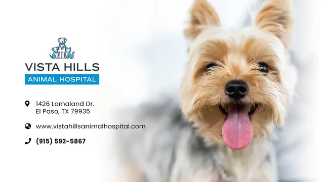 Vista Hills Animal Hospital — photo from the business 1