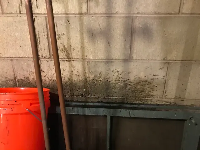 Milw Drain Cleaning — customer photo 3
