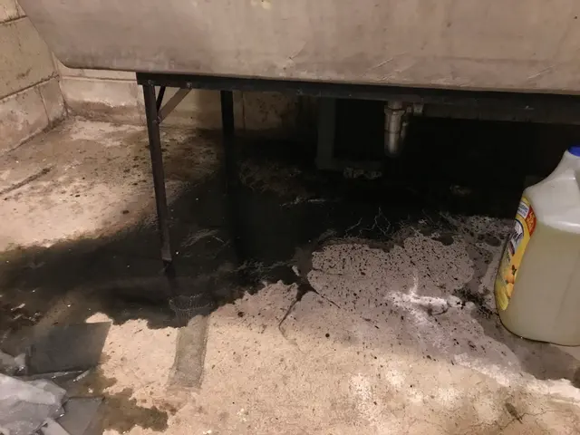 Milw Drain Cleaning — customer photo 5
