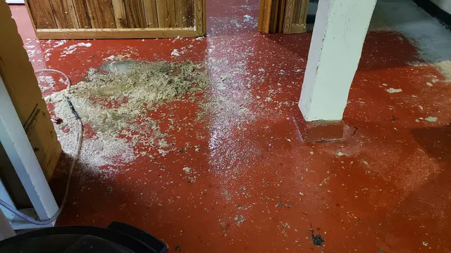 Milw Drain Cleaning — customer photo 8