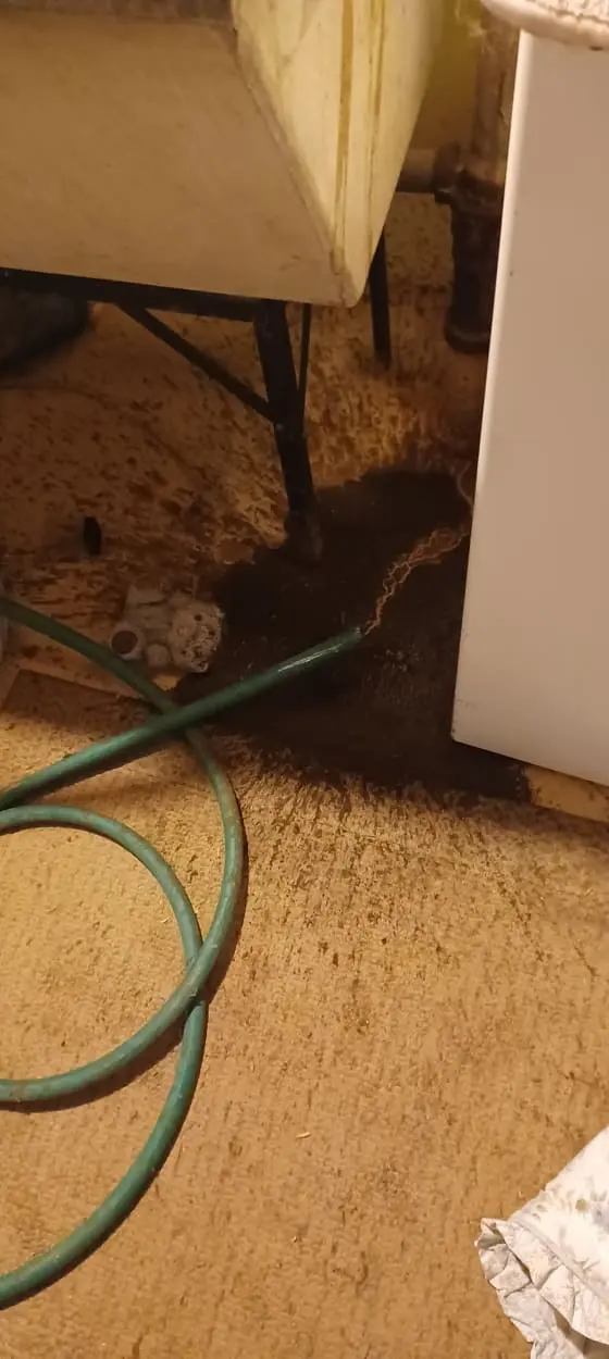 Milw Drain Cleaning — customer photo 12