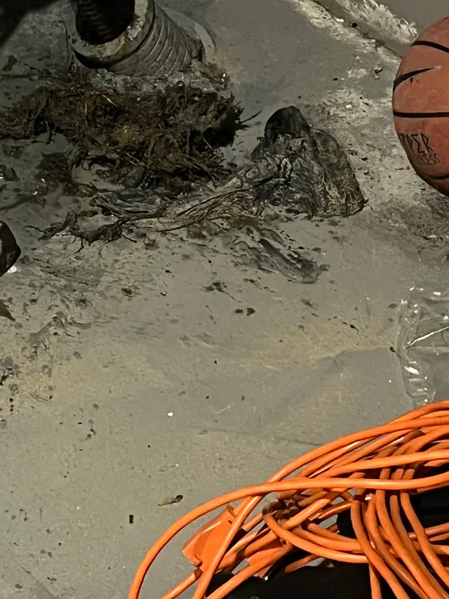 Milw Drain Cleaning — customer photo 9