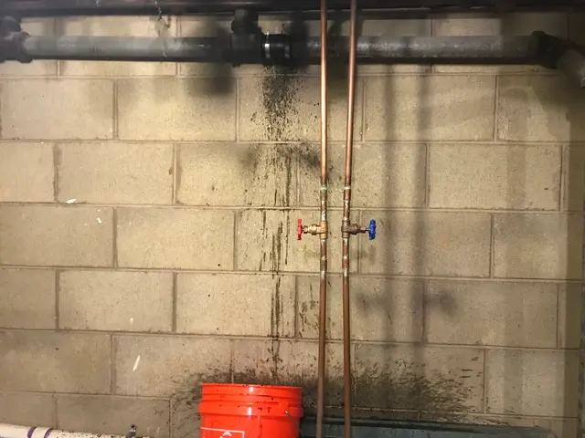 Milw Drain Cleaning — customer photo 2