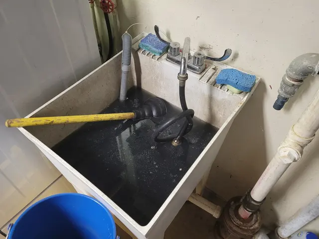 ABC Sewer & Drain Cleaning — customer photo 3
