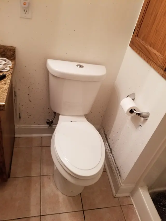 ABC Sewer & Drain Cleaning — customer photo 5