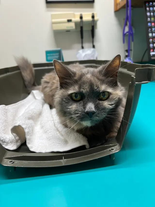 Coffee Road Animal Hospital & Pet Resort — customer photo 1