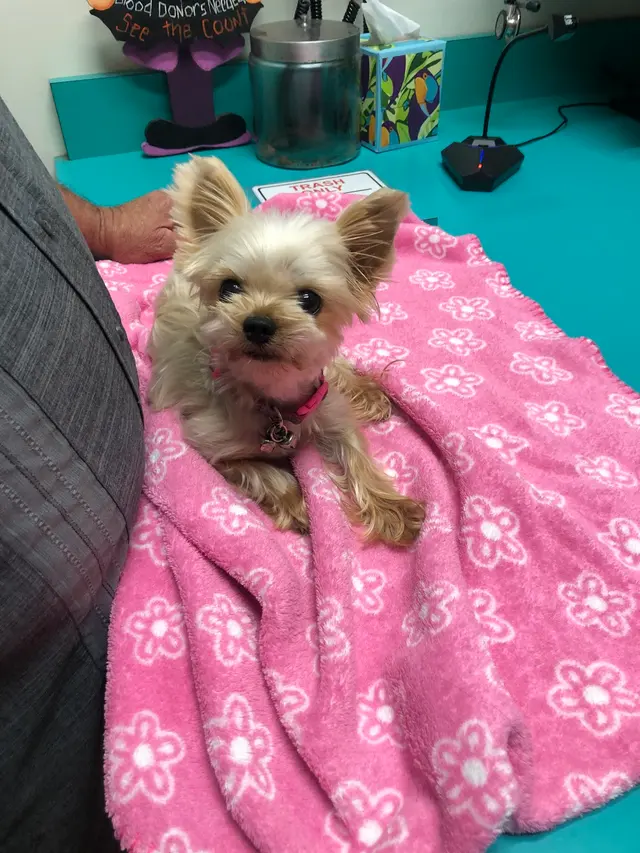 Coffee Road Animal Hospital & Pet Resort — customer photo 12